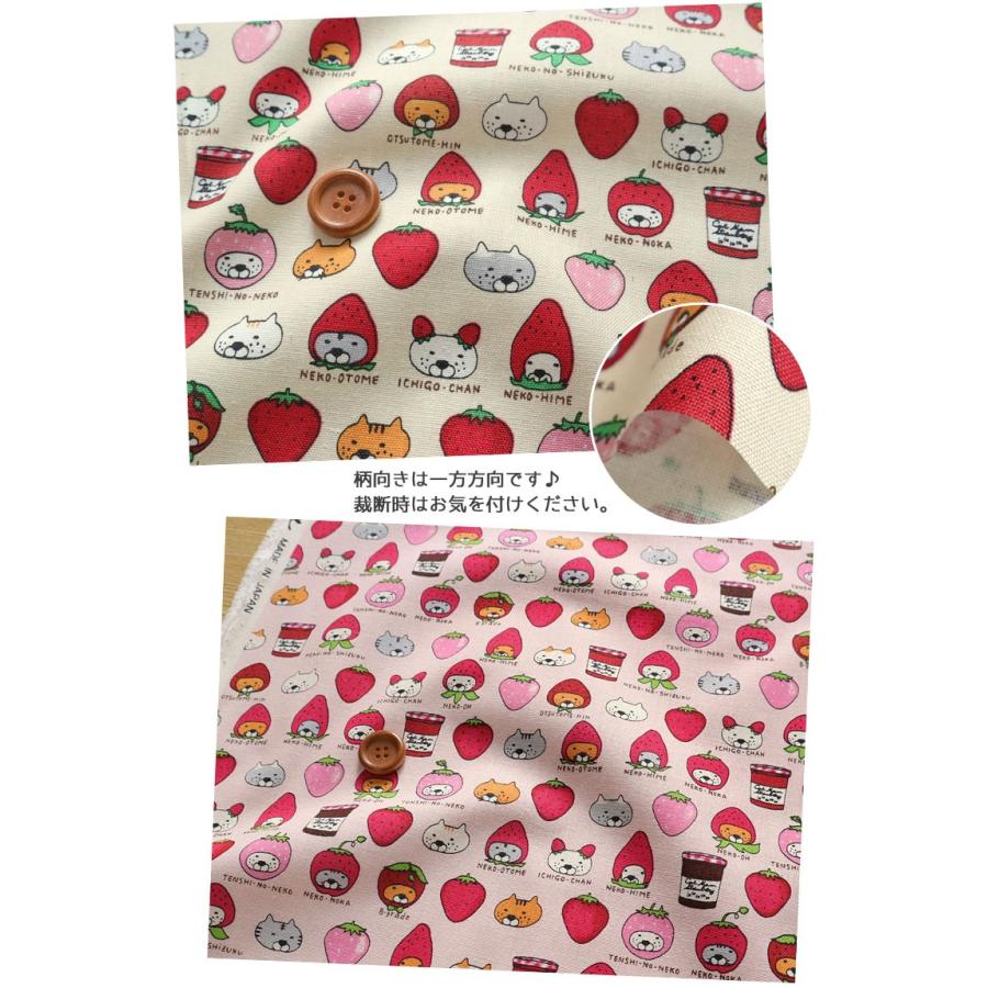 コットンこばやし ☆レシピあります☆いちご大好き◇ねこちゃん 10番