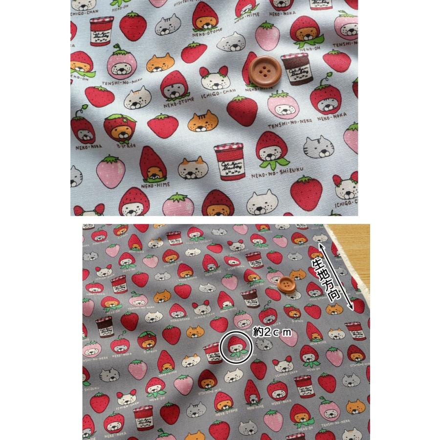 コットンこばやし ☆レシピあります☆いちご大好き◇ねこちゃん 10番