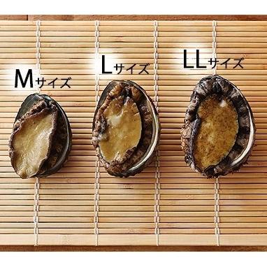 Llサイズ360g 2 3個 天然 活 蝦夷アワビ 北海道産 あわび 生 北海道産 Uny1811t003 上野屋 通販 Yahoo ショッピング