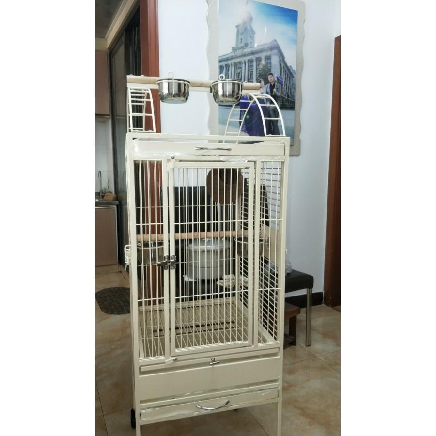 【新登場】 バードケージ 鳥の部屋 大型インコ用 鳥籠 鳥かご 飼育 合金 安定性抜群 室内外兼用 組立式 移動便利 おうむ 小鳥 輪付 【BCD1123288415】(40119円)