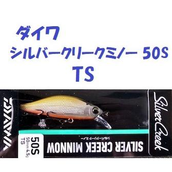 DAIWA（ダイワ） （クリックポスト発送）ダイワ シルバークリーク