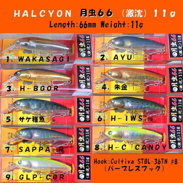 クリックポスト発送）ハルシオン システム 月虫66（激沈） 11g