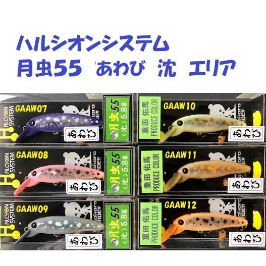 クリックポスト発送可）ハルシオンシステム 月虫55 あわび 沈