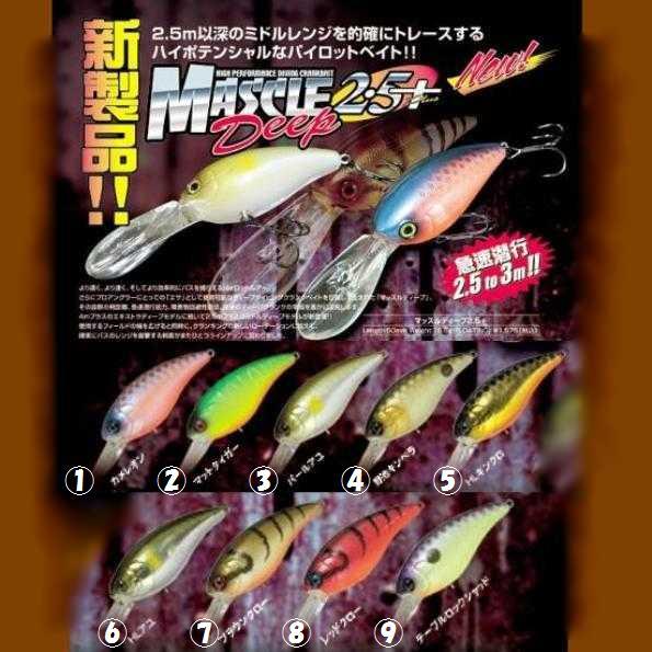 ジャッカル マッスルディープ（MASCLE Deep）2