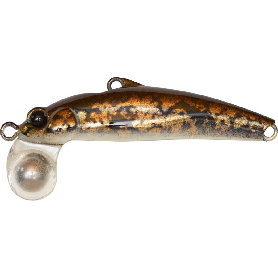 Jackson（ジャクソン） （クリックポスト発送）ジャクソン