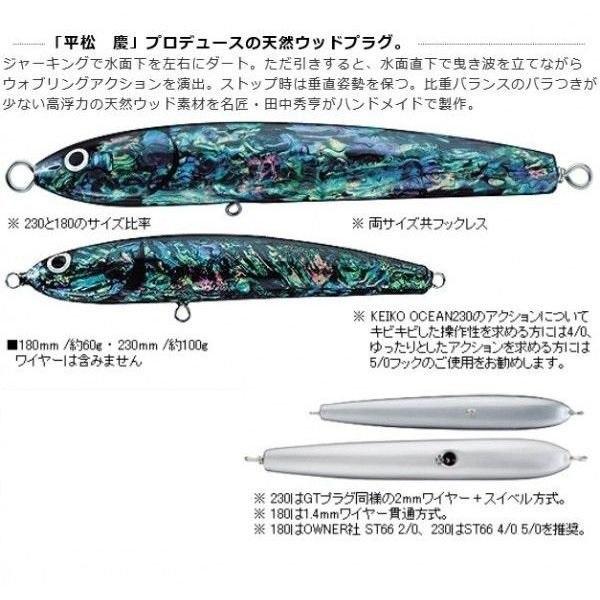 ホッツ ケイコ オーシャン アワビ 230mm : 松本釣具店Yahoo!店