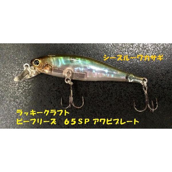 ラッキークラフト ビーフリーズ 65SP アワビプレート シースルー