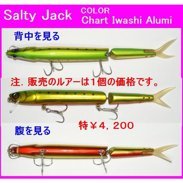 フィッシュアロー Salty Jack ソルティージャック : 松本釣具店Yahoo