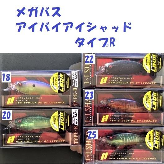 Megabassメガバス.IxIシャッド10個セット TYPE-R.TYPE-3