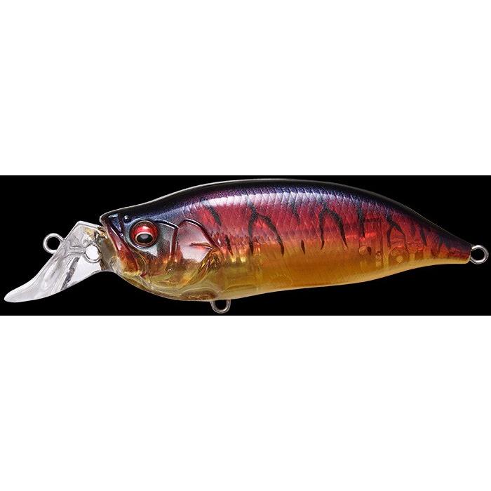 Megabass（メガバス） （クリックポスト発送）メガバス アイバイアイ