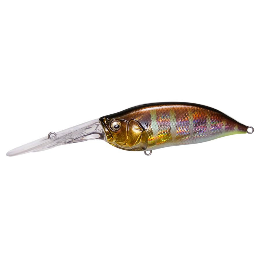 Megabass（メガバス） （クリックポスト発送）メガバス アイバイアイ