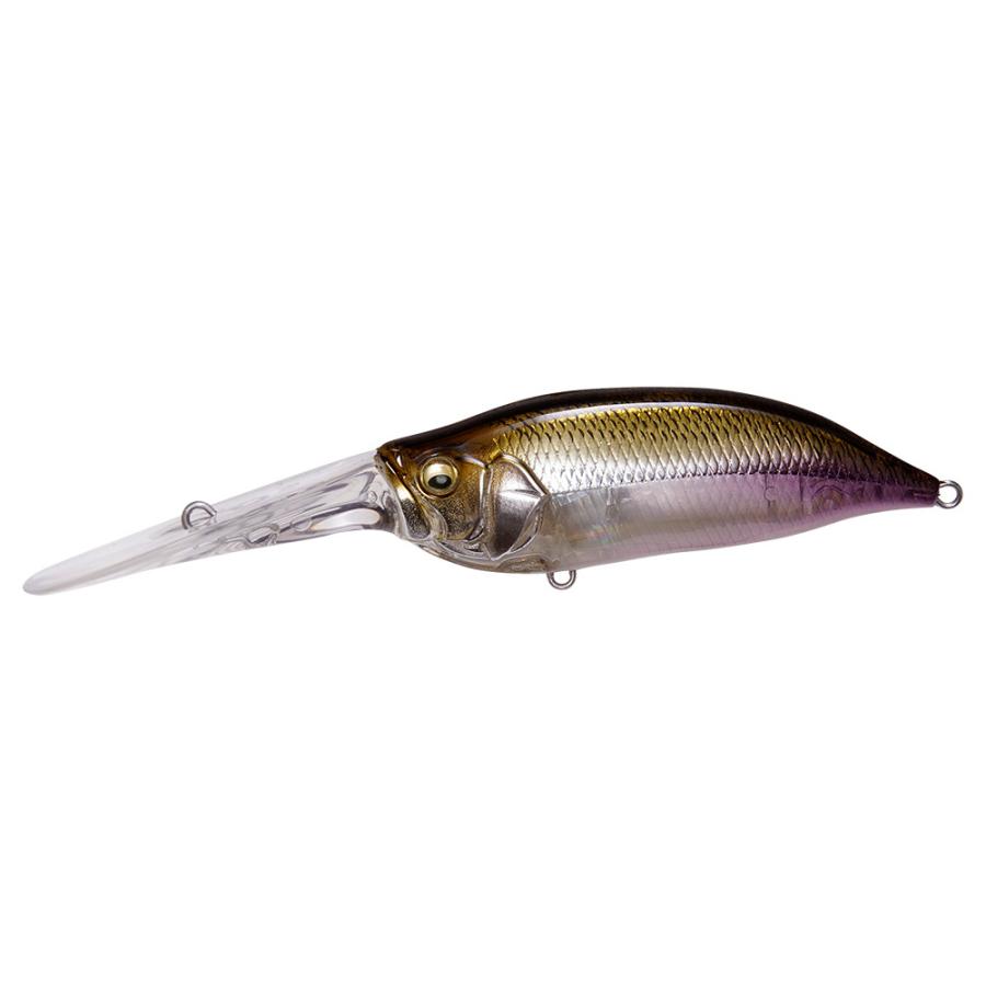 Megabass（メガバス） （クリックポスト発送）メガバス アイバイアイ