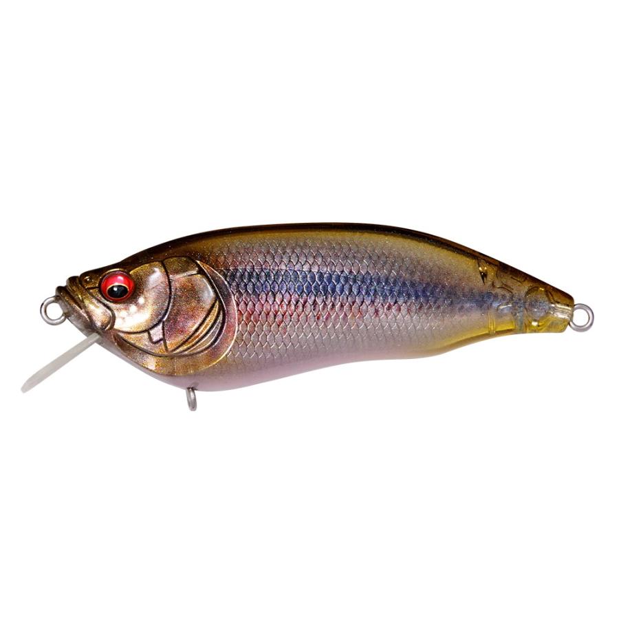 Megabass（メガバス） （クリックポスト発送可）メガバス IXI