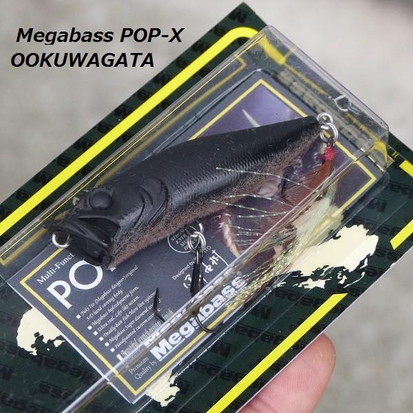 Megabass POPX OOKUWAGATA ポップX メガバス Megabass（メガバス） POP−X オオクワガタ : 松本釣具店Yahoo!店