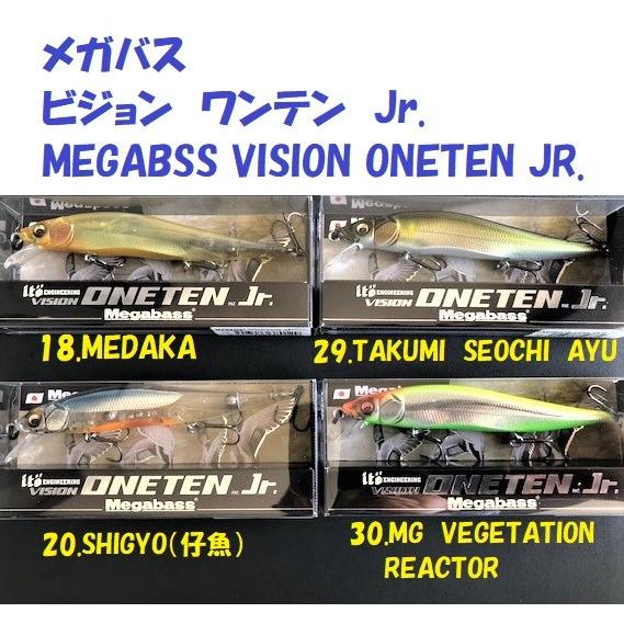 メガバスPOP-MAX VISION ONETEN jrセット Megabass（メガバス） （クリックポスト発送可）メガバス ビジョン