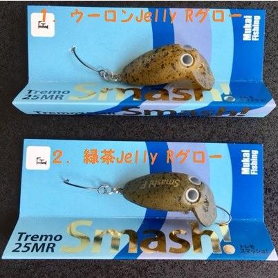 ムカイフィッシング トレモ25MR スマッシュ（F） 有頂天
