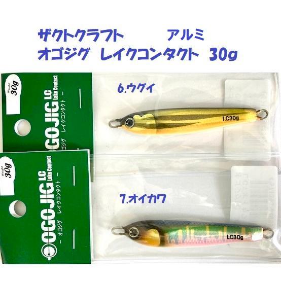 クリックポスト発送）ザクトクラフト オゴジグ レイクコンタクト 30g
