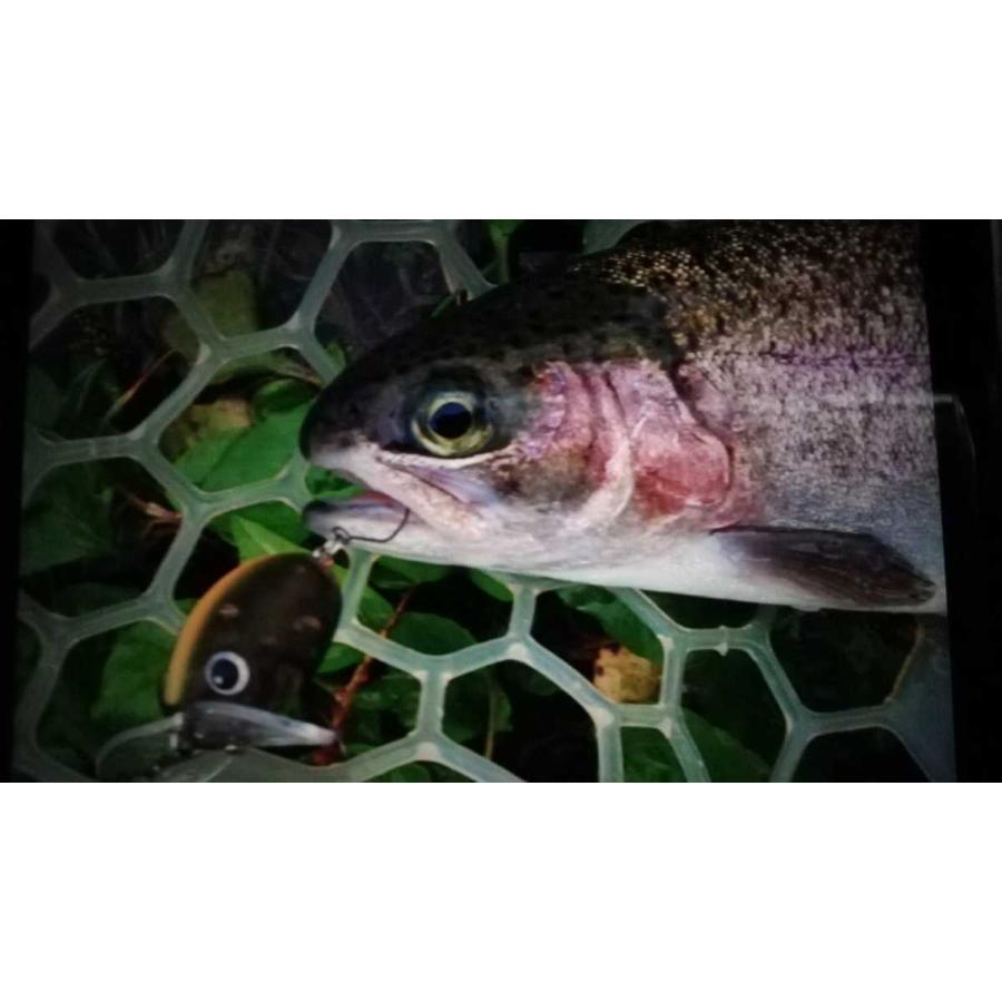 あき　ザクトクラフト ザグナ　2個セット　夜光　グロー　6個セット 1350039019.jpg?1632621835