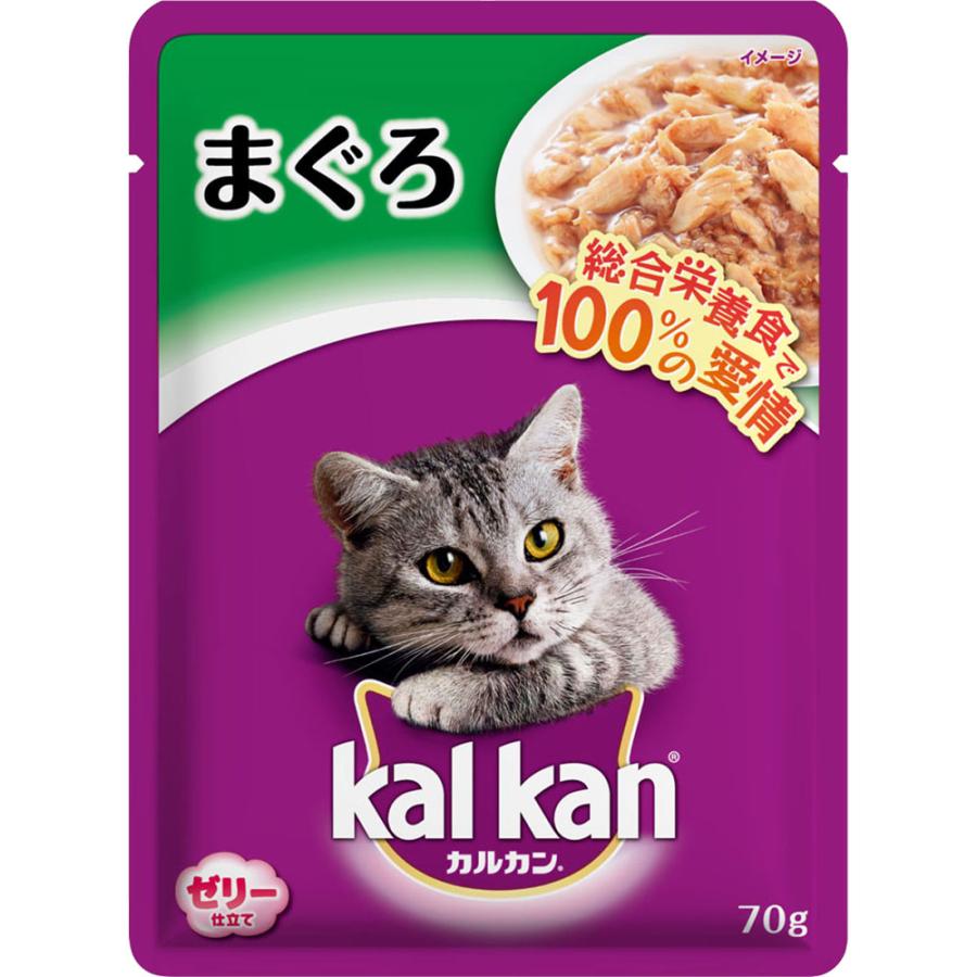 カルカンパウチ 新品未開封 Www Childrenscrisiscenter Com