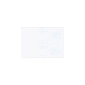 300円 オンラインショッピング 第一三共ヘルスケア パテックス うすぴたシップ ４８枚 第3類医薬品