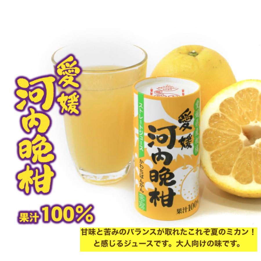 気質アップ】 ルナ① みかんジュース 12本 ソフトドリンク 気質アップ】 ルナ① みかんジュース 12本 ソフトドリンク