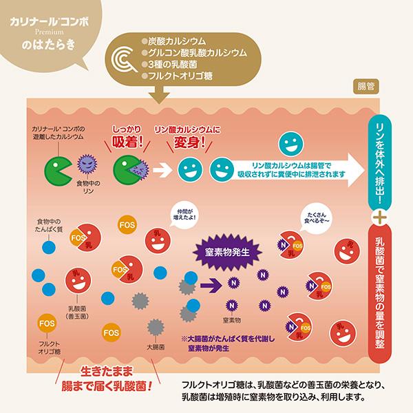 犬猫用 カリナールコンボ 40g (腎臓の健康をサポート) : 松波動物
