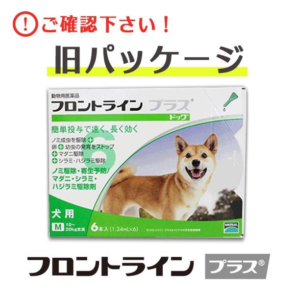 ャンプーを B フロントラインプラス 動物用医薬品 使用期限 23 09 30以降 11月現在 松波動物メディカル通信販売部 通販 Paypayモール 犬用 M 10 kg 6ピペット 2箱セット すること Www Blaskogabyggd Is