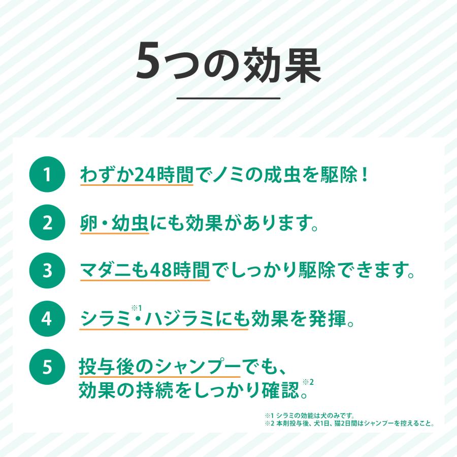 【10％OFFクーポン】フロントラインプラス 犬用 XS (5kg未満) 6ピペット 2箱セット 動物用医薬品【B配送】｜matsunami｜04