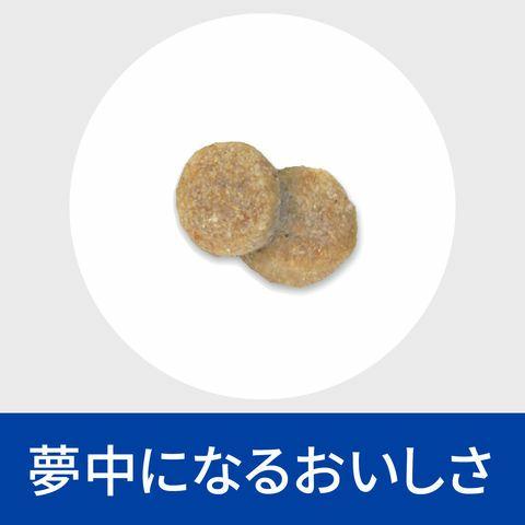 ヒルズ 【2袋セット】ヒルズ 犬用 腎臓ケア【k/d】 3kg : 松波動物