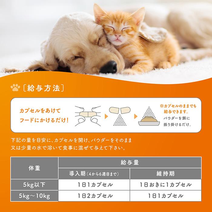 犬猫用 コセクイン パウダーイン 45カプセル (関節の健康をサポート)【C配送】｜matsunami｜04