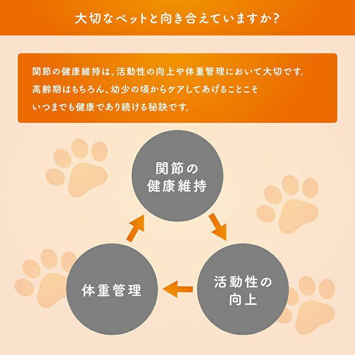 犬用 コセクイン タブレット 40粒 (関節の健康をサポート) : 松波動物