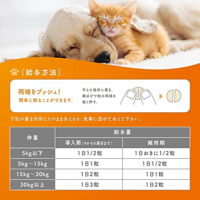 犬用 コセクイン タブレット 40粒 (関節の健康をサポート) : 松波動物
