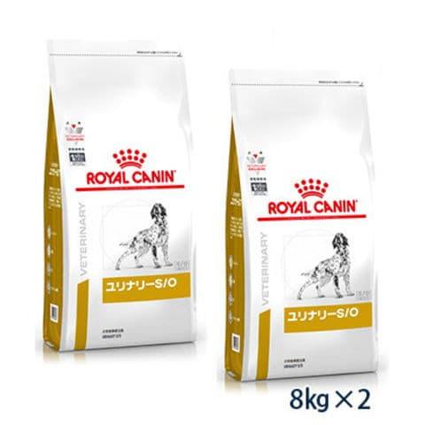 ロイヤルカナン 犬用 ユリナリーS/O ドライ 8kg (2袋セット)(旧pHコントロール) 療法食【C配送】 :cw15-2:松波動物メディカル通信販売部 - 通販 - Yahoo!ショッピング 【セール 登場から人気沸騰】 ロイヤルカナン 犬用 腎臓サポート 8kg 2袋セット ペットフード