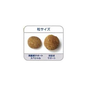 ロイヤルカナン 犬用 満腹感サポート 小型犬用S 3kg  療法食【C配送】｜matsunami｜02