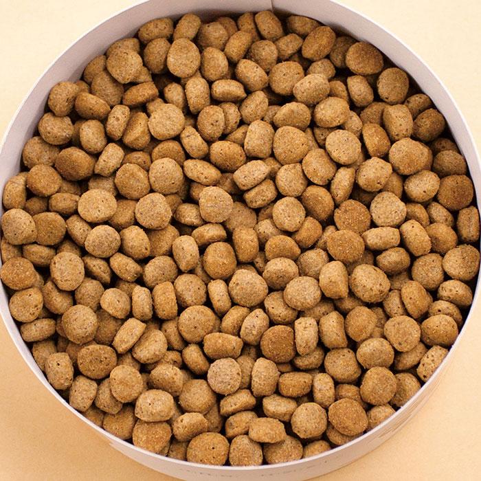 ベッツセレクション 犬用 消化器ケア 1.8kg（600g×3袋） |  | 01