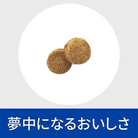ヒルズ 猫用 尿ケア【c/d】 マルチケア コンフォート 4kg : 松波動物