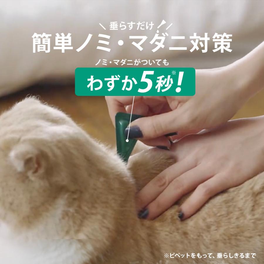 【10％OFFクーポン】フロントラインプラス 猫用 6ピペット 動物用医薬品【B配送】｜matsunami｜03