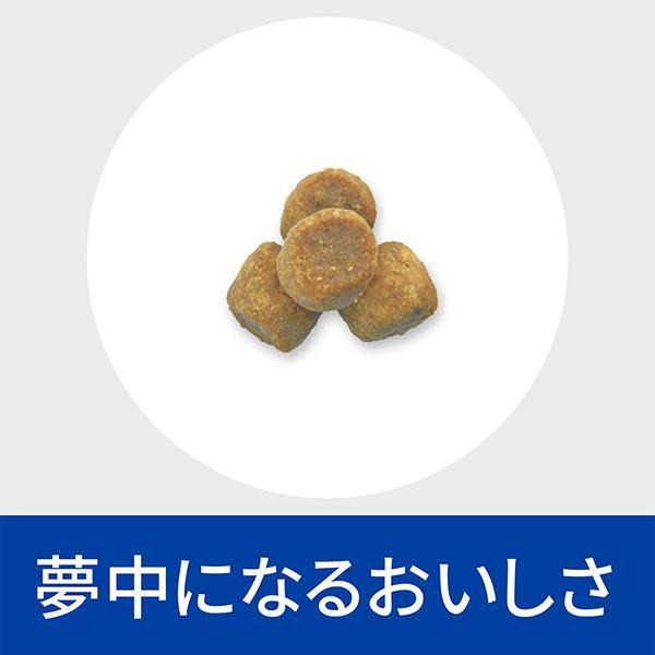 ヒルズ 【2袋セット】ヒルズ 猫用 糖尿病管理【m/d】 2kg : 松波動物