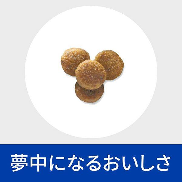 ヒルズ 猫用 腎臓ケア【k/d】早期アシスト 2kg : 松波動物メディカル