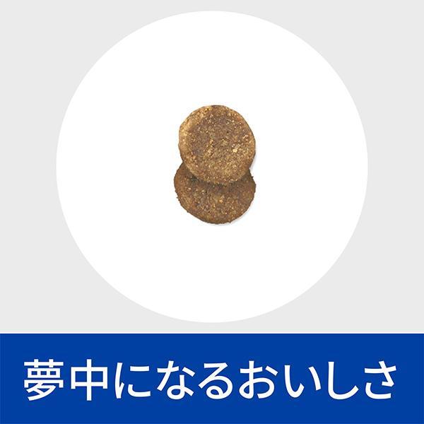 ヒルズ 【4袋セット】ヒルズ 猫用 繊維＆消化ケア 腸内バイオーム