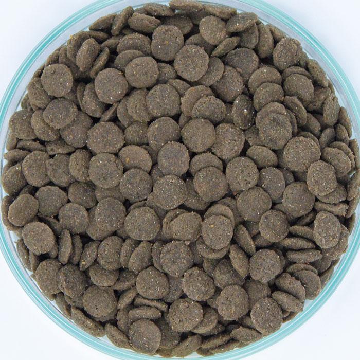Vet's Selection ベッツセレクション 猫用 腎ケア BPレーベル 400g