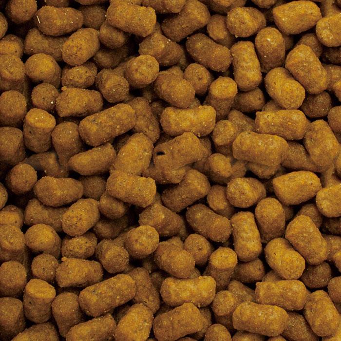 Vet's Selection ベッツセレクション 猫用 pHケア プラスステージ 1.5kg(300g×5袋) 2袋セット : 松波動物 ...