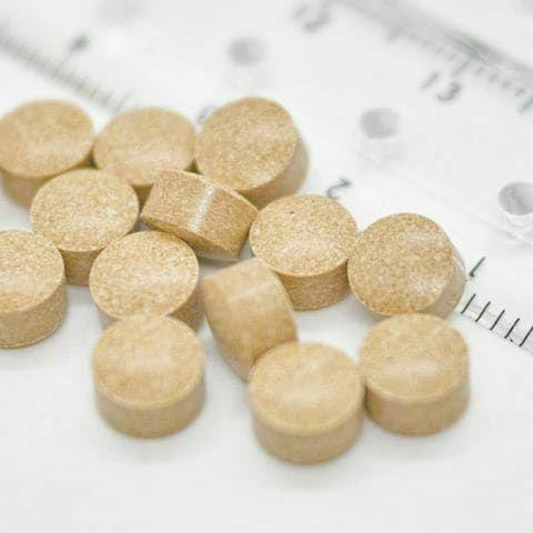 犬猫用 スケアクロウ  パンフェノンS 16.8g（140mg×120粒） (心臓の健康をサポート)_2