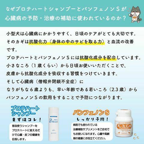 犬猫用 スケアクロウ  パンフェノンS 16.8g（140mg×120粒） (心臓の健康をサポート)_3