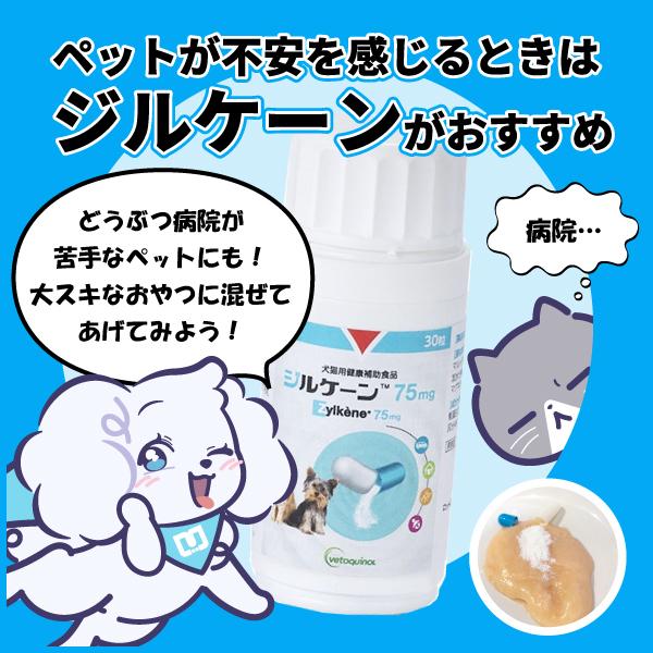 犬猫用 ジルケーン 75mg 30粒入 (ストレスケアに)【C配送】｜matsunami｜02