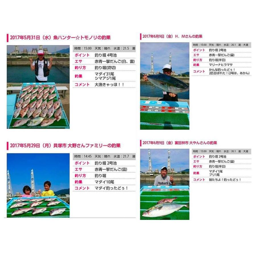 赤青一撃だんご 炎雷 3種最強セット 釣りエサ 海上釣堀 10 松尾知典釣具店 ヤフーショップ 通販 Yahoo ショッピング