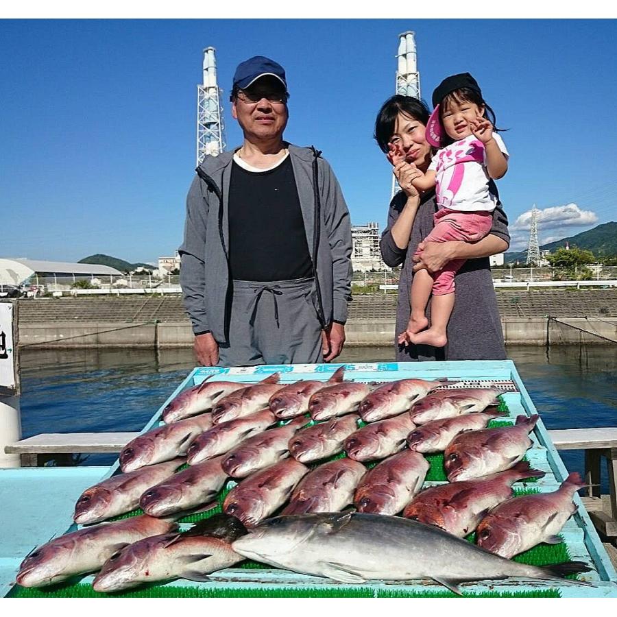 赤青一撃だんご 炎雷 3種最強セット 釣りエサ 海上釣堀 10 松尾知典釣具店 ヤフーショップ 通販 Yahoo ショッピング