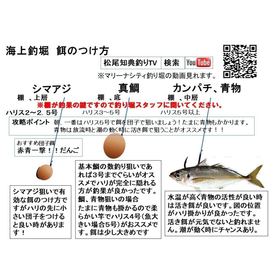 釣堀セットPROX 海上釣堀くわせ 360cm リール バルトム海上釣堀2