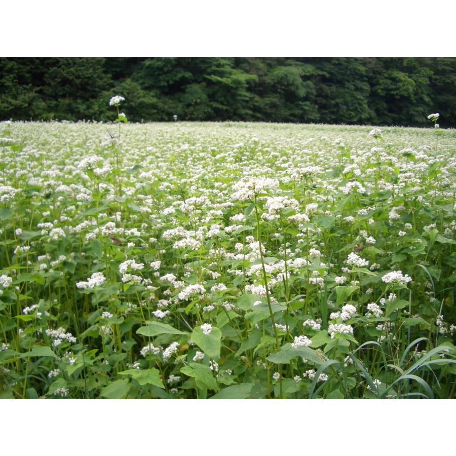 【父の日ギフト　贈答仕様品】東松島上下堤の里 【松島】蕎麦焼酎堤の花雫 （黒瓶・赤瓶） ７２０ｍｌ×２本セット |  | 09