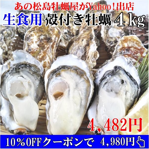 即日出荷可能 生牡蠣 生食用 殻付き牡蠣 4kg（約28〜56粒）オープン記念15％OFFクーポン配布中 宮城県産 松島牡蠣屋の海鮮 カキ魚介類 牡蛎 貝類 熨斗可能 の商品画像